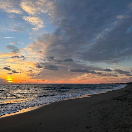 דירות לידו די אוסטיה Attico Al Mare מראה חיצוני תמונה
